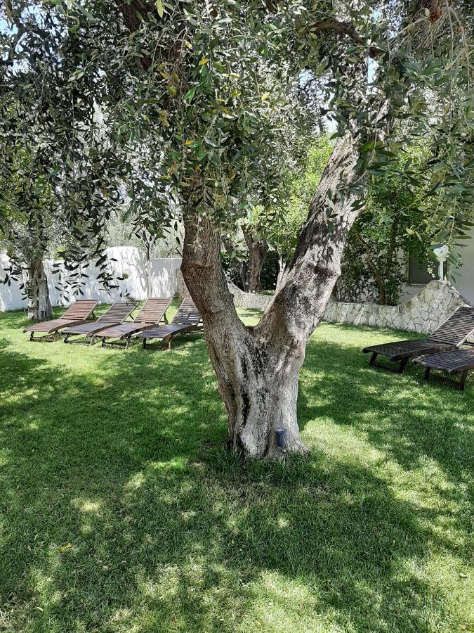 Hotel Il Melograno Mattinata Eksteriør billede